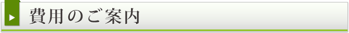 費用のご案内