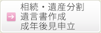 相続・遺産分割、遺言書作成、成年後見申立